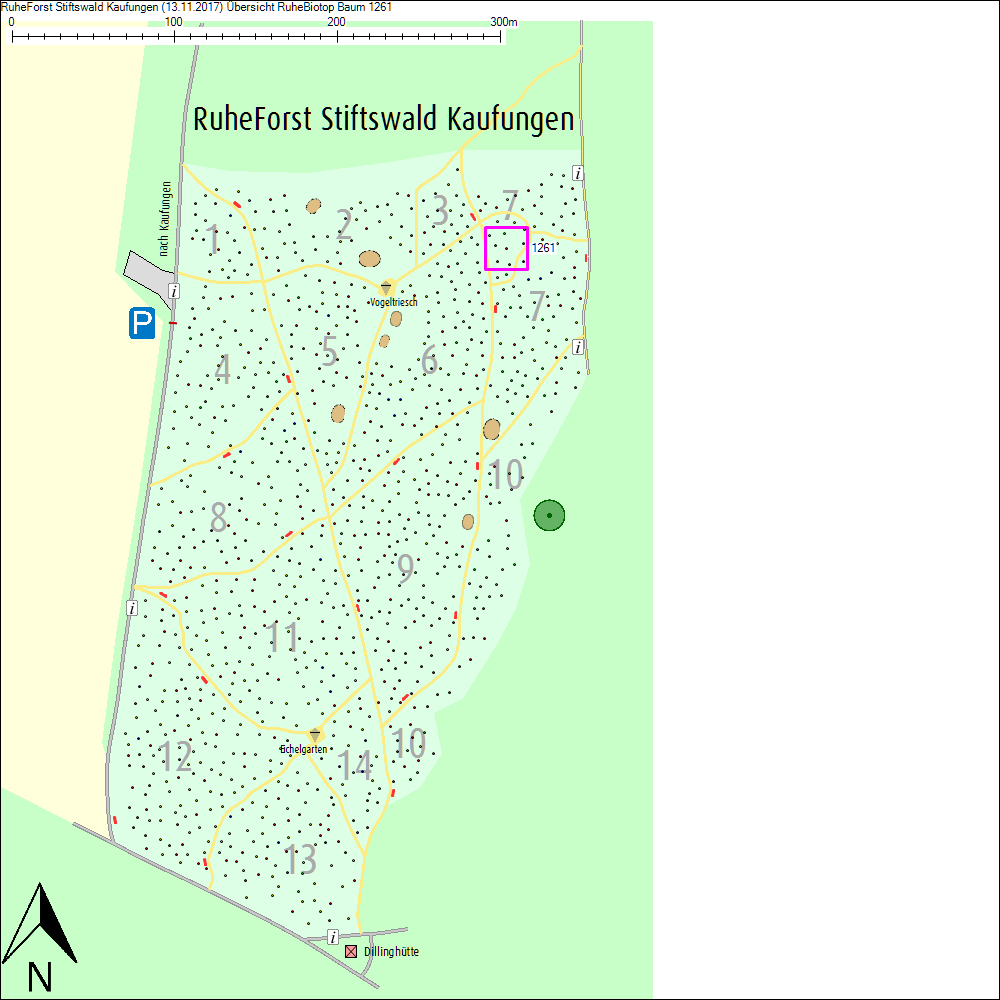&Uuml;bersichtskarte zu Baum 1261