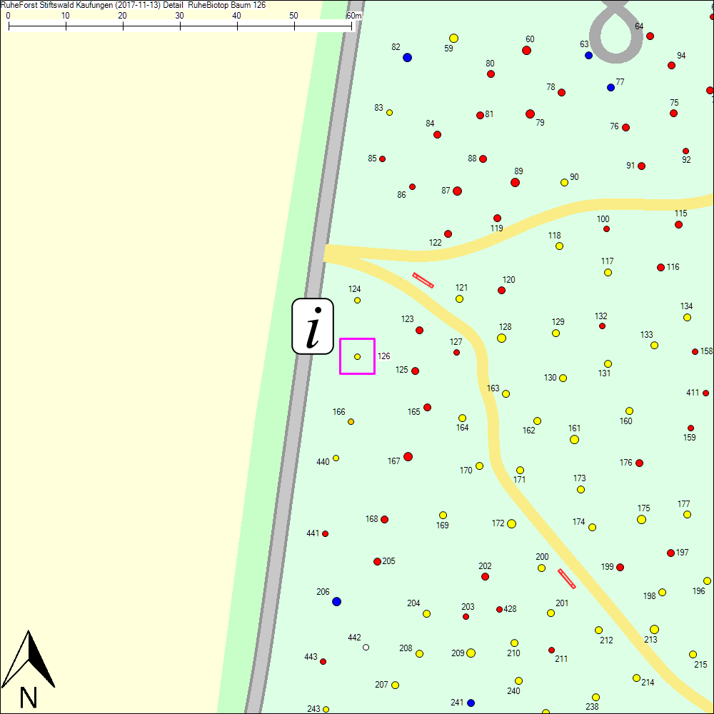 Detailkarte zu Baum 126