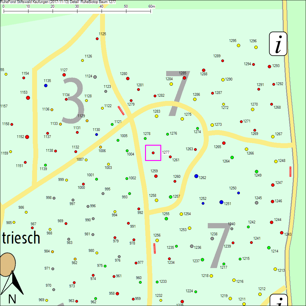 Detailkarte zu Baum 1277