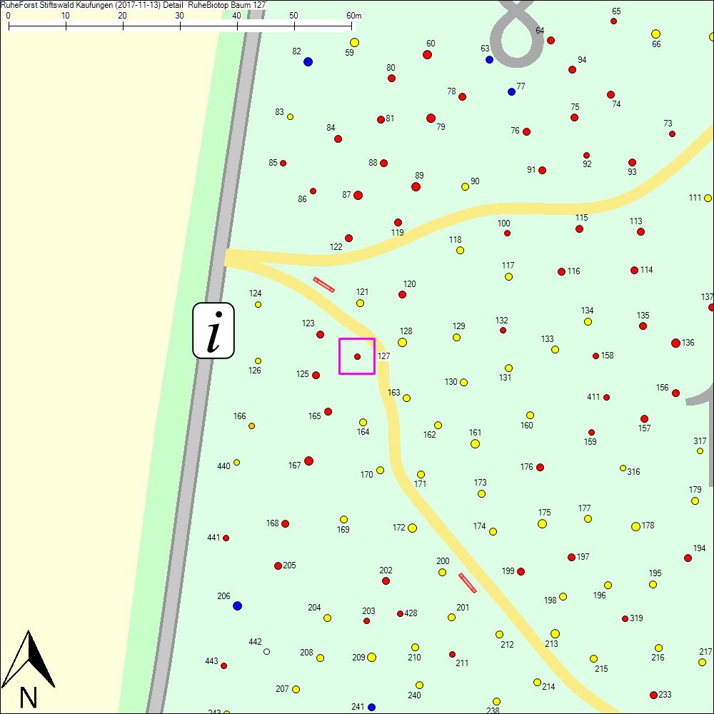 Detailkarte zu Baum 127