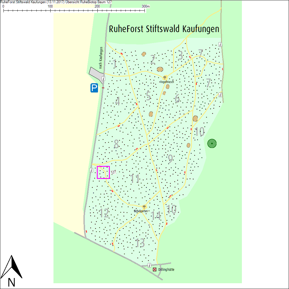 &Uuml;bersichtskarte zu Baum 127