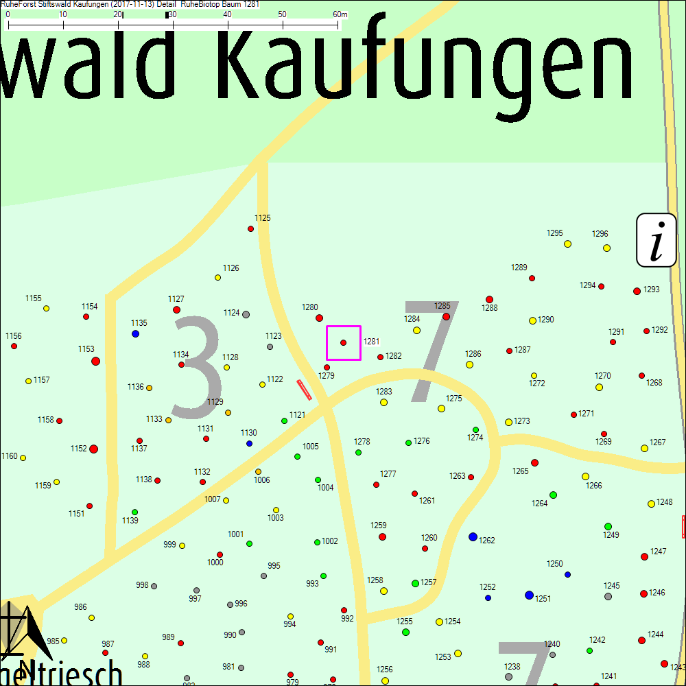 Detailkarte zu Baum 1281
