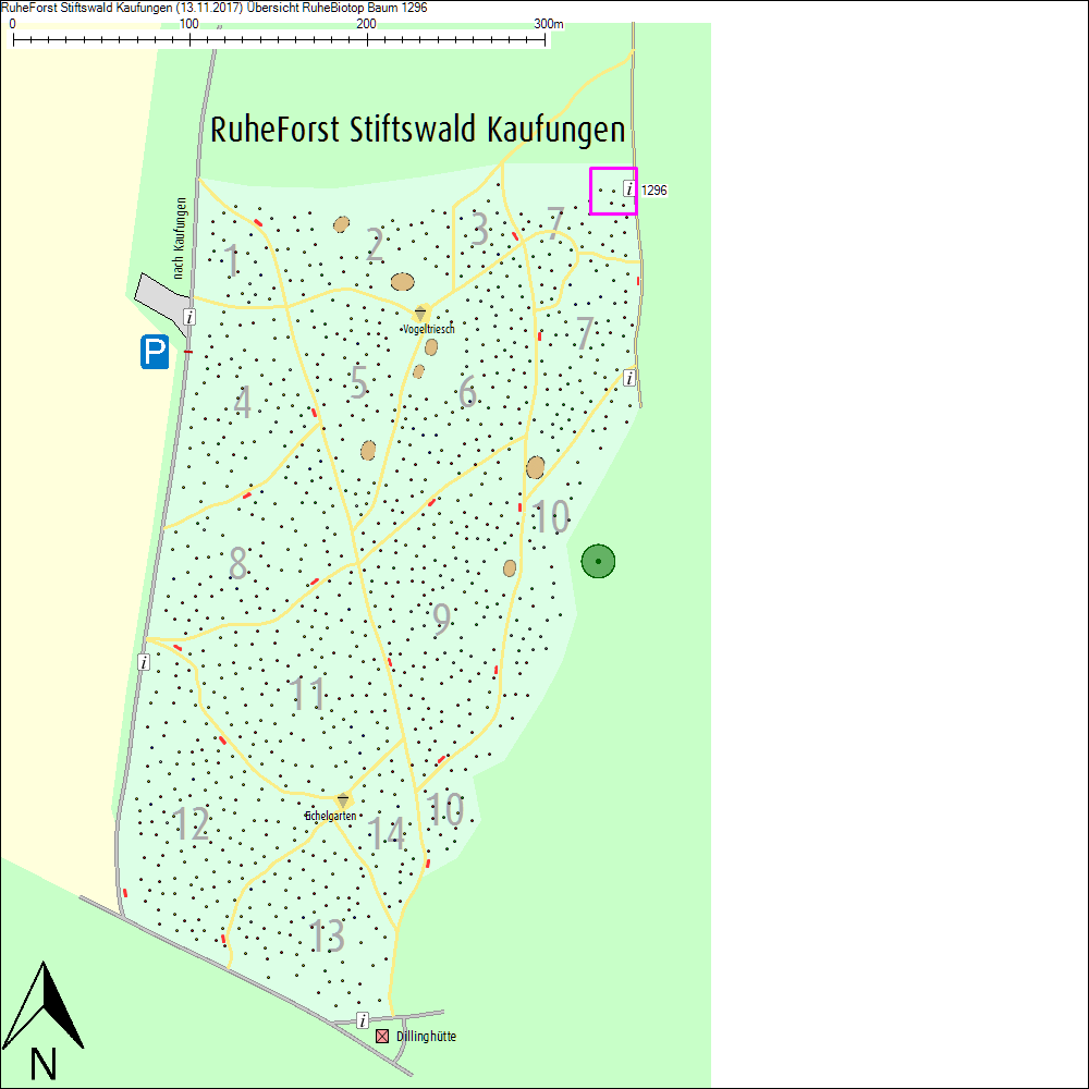 &Uuml;bersichtskarte zu Baum 1296