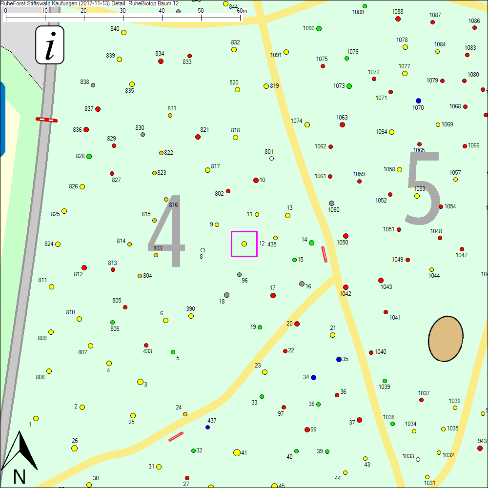 Detailkarte zu Baum 12