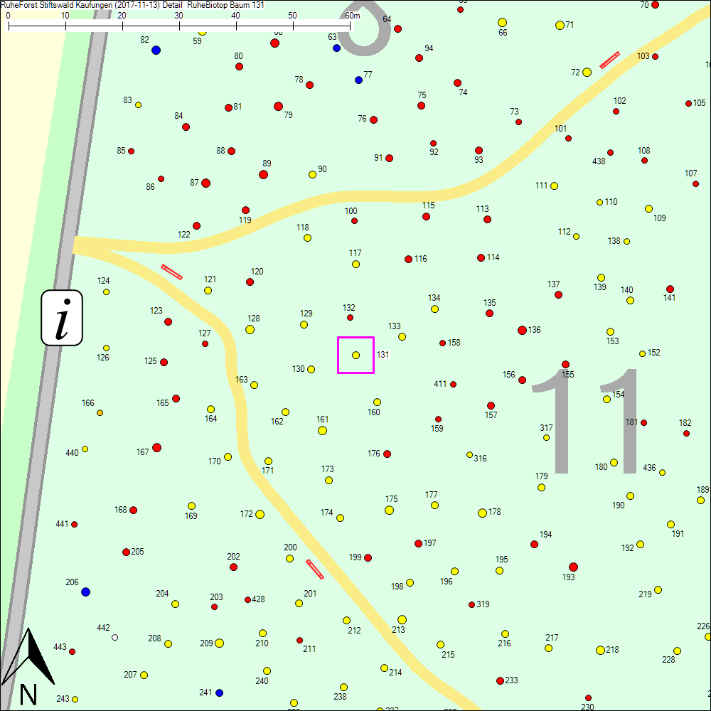Detailkarte zu Baum 131