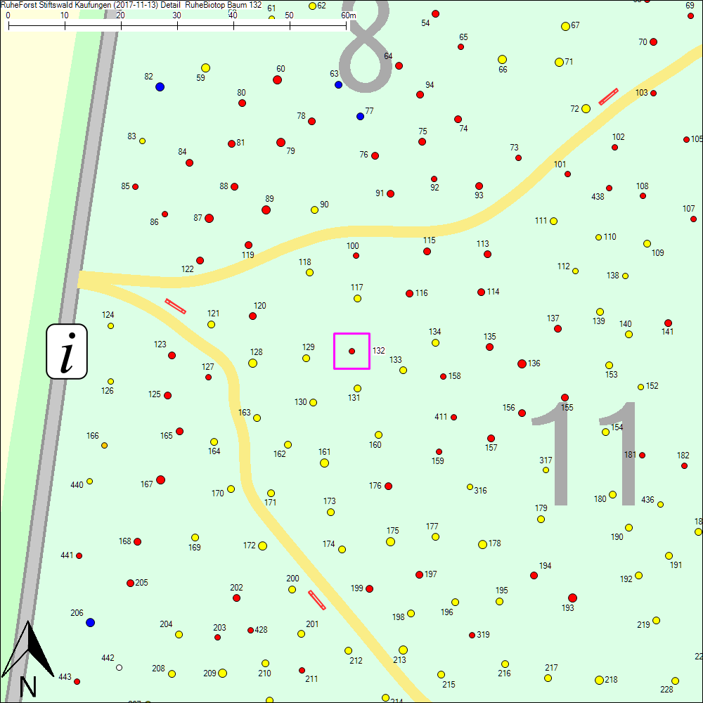 Detailkarte zu Baum 132