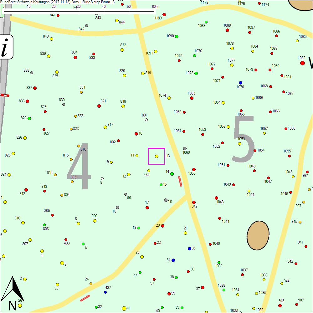 Detailkarte zu Baum 13