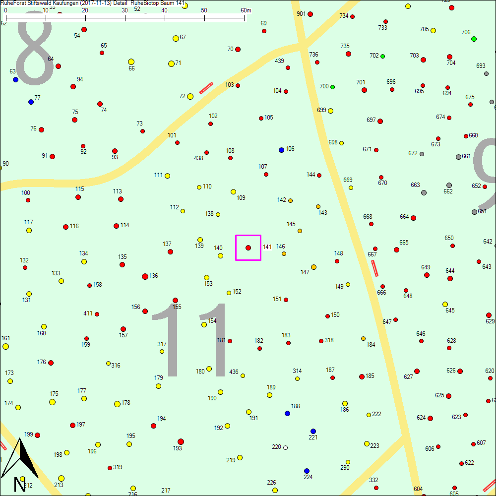 Detailkarte zu Baum 141