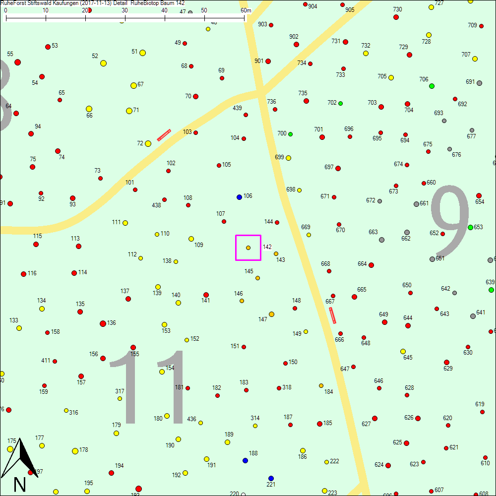 Detailkarte zu Baum 142
