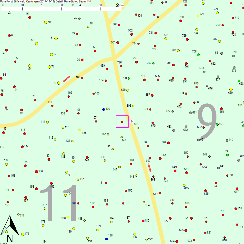 Detailkarte zu Baum 144