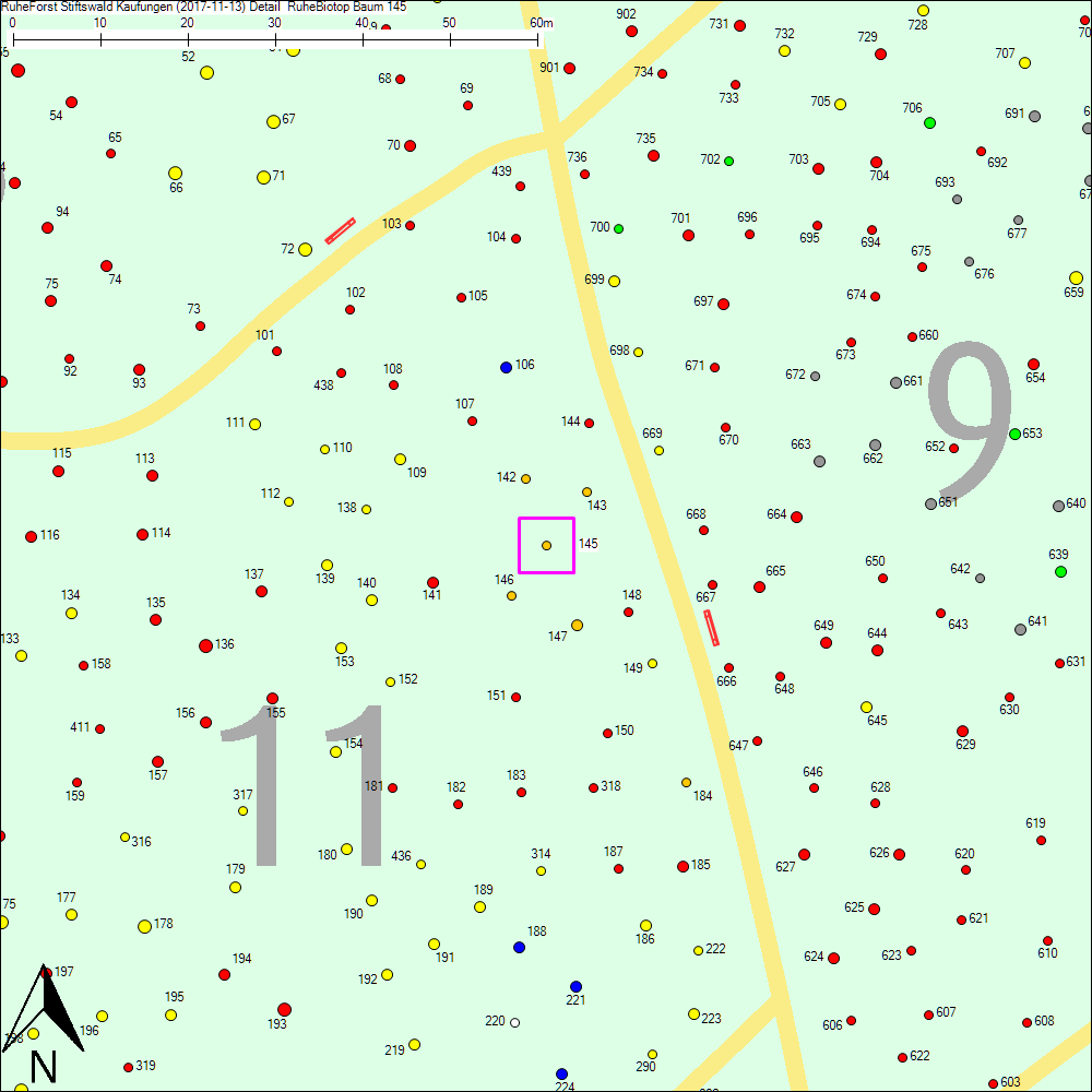 Detailkarte zu Baum 145