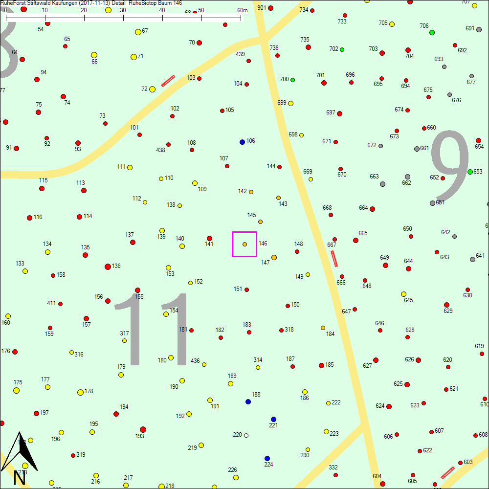 Detailkarte zu Baum 146