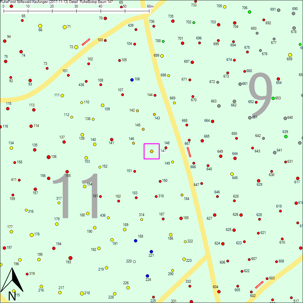 Detailkarte zu Baum 147