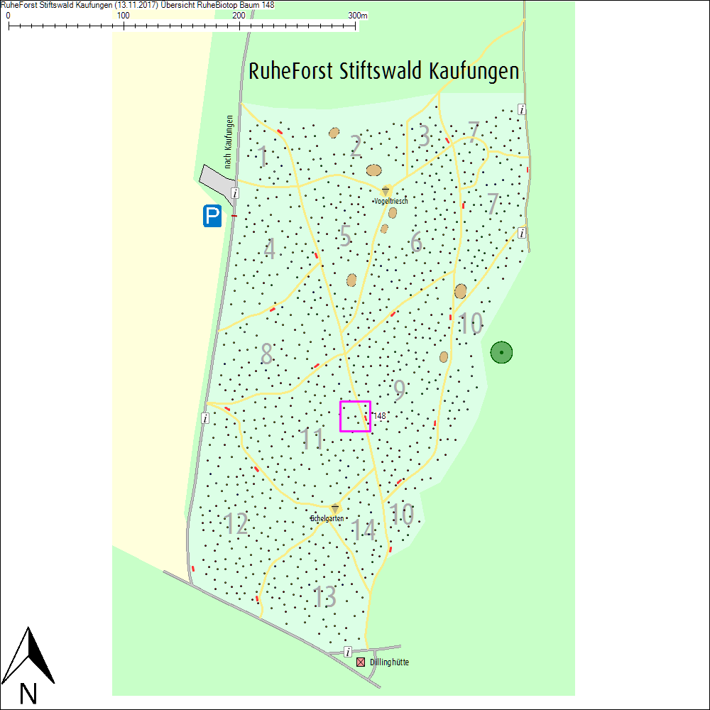 &Uuml;bersichtskarte zu Baum 148