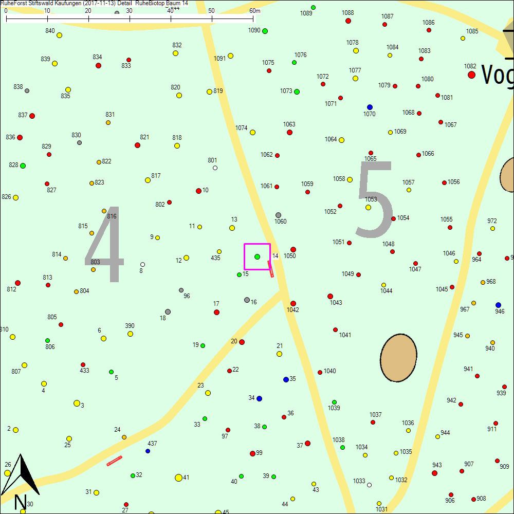 Detailkarte zu Baum 14