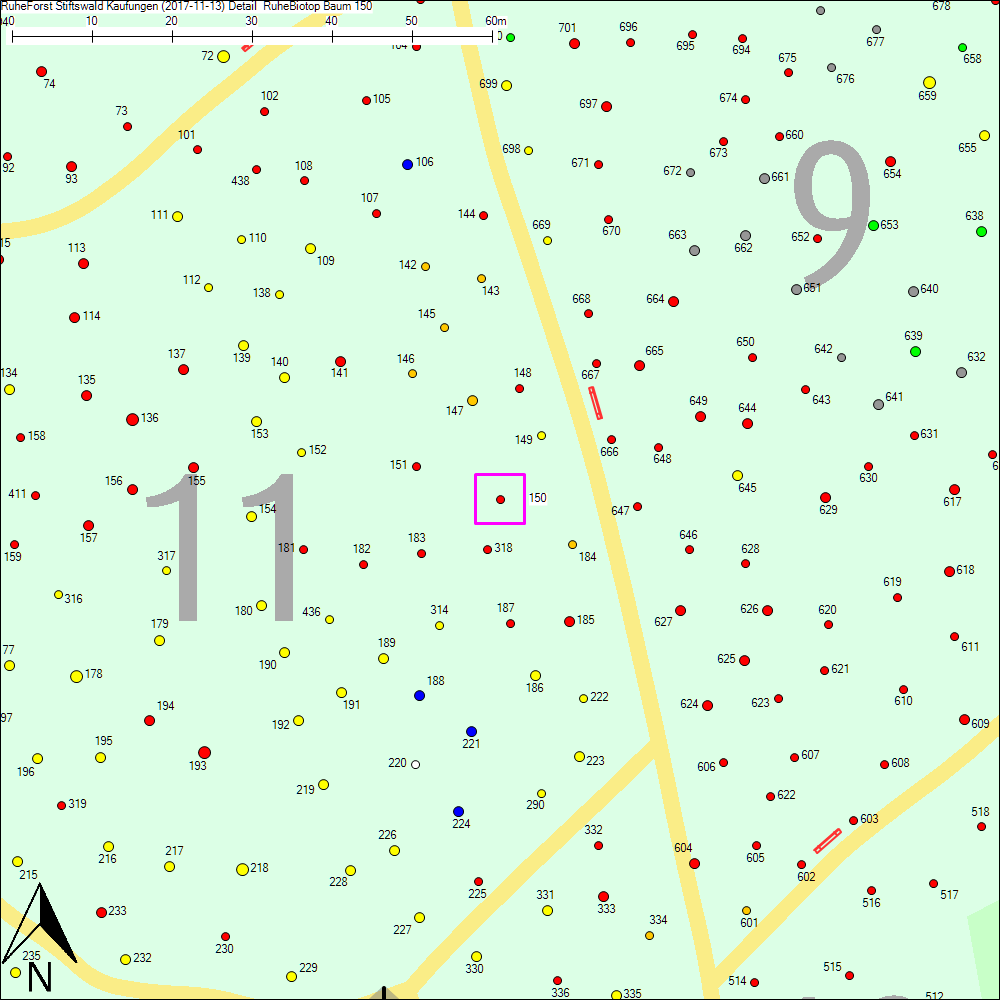 Detailkarte zu Baum 150
