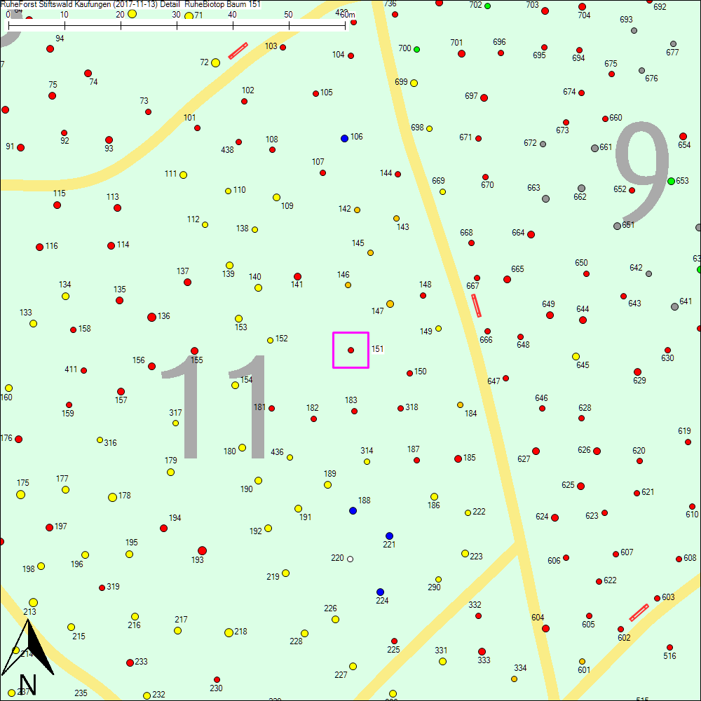 Detailkarte zu Baum 151