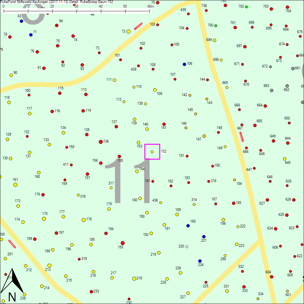Detailkarte zu Baum 152