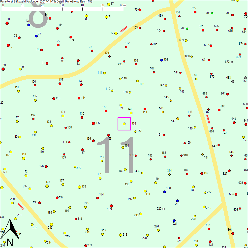 Detailkarte zu Baum 153
