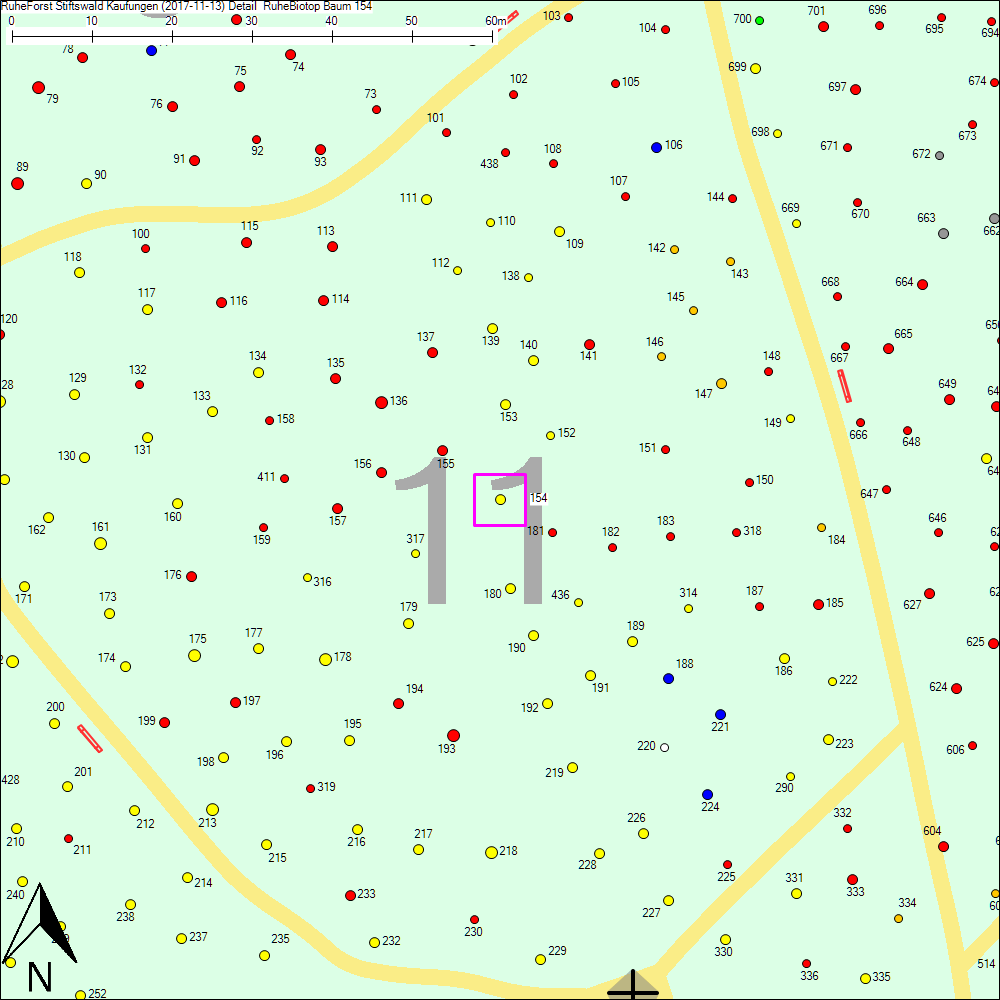 Detailkarte zu Baum 154