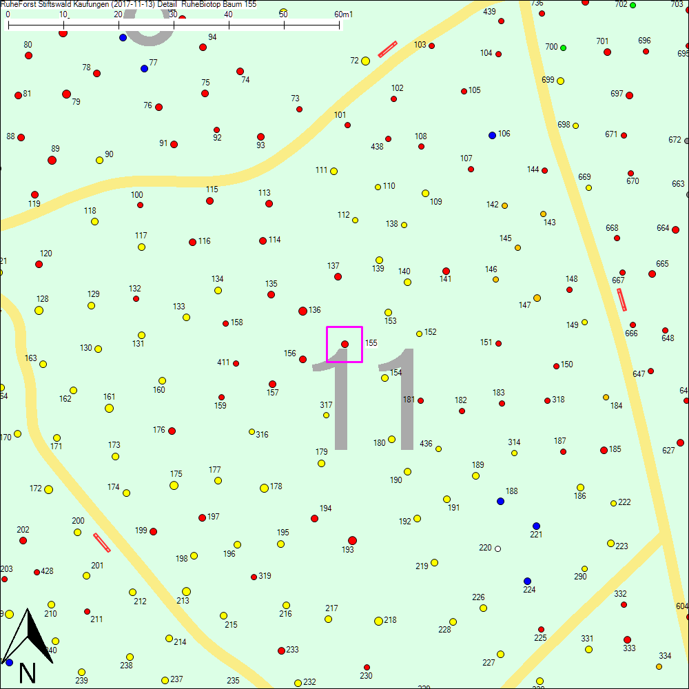 Detailkarte zu Baum 155