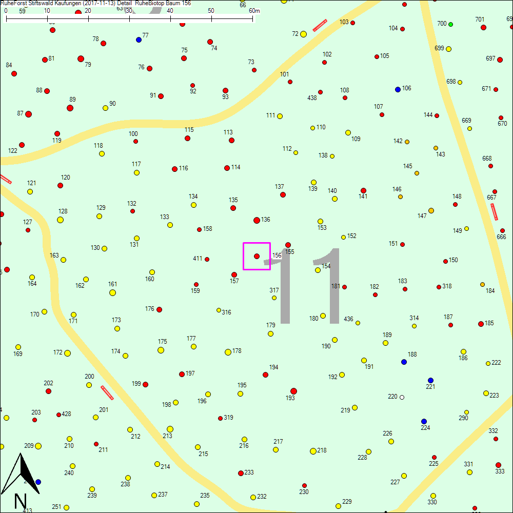 Detailkarte zu Baum 156