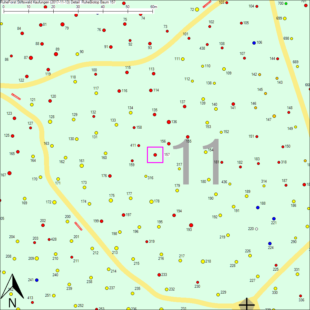 Detailkarte zu Baum 157