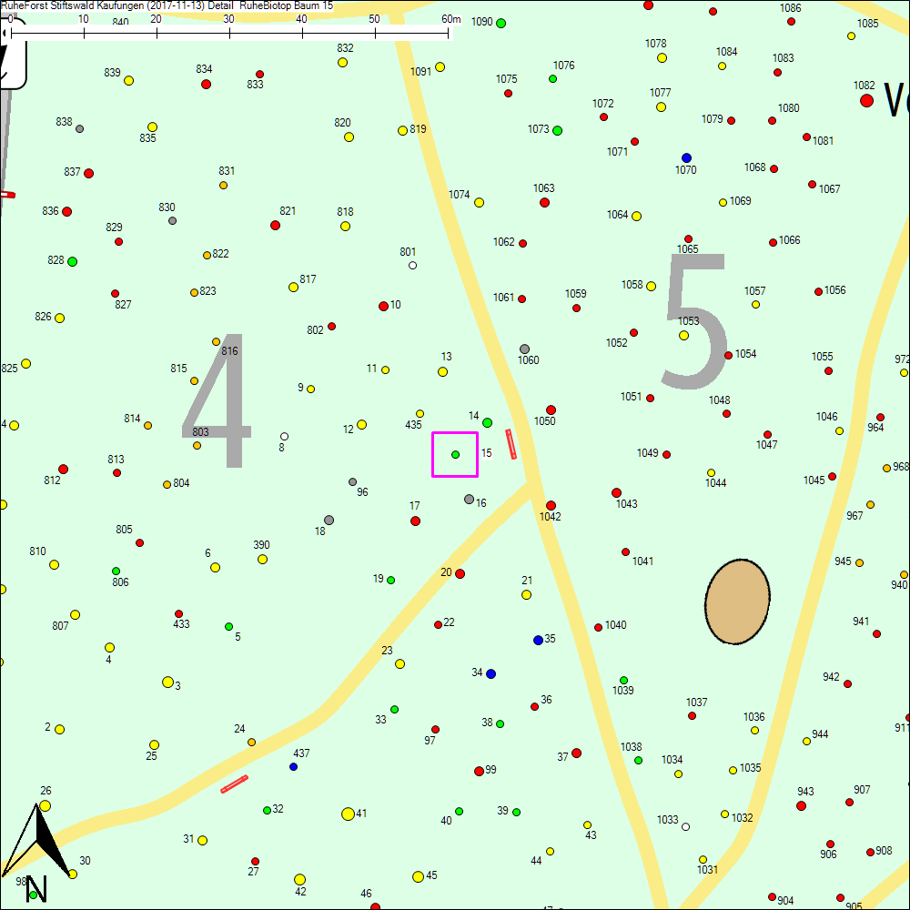 Detailkarte zu Baum 15