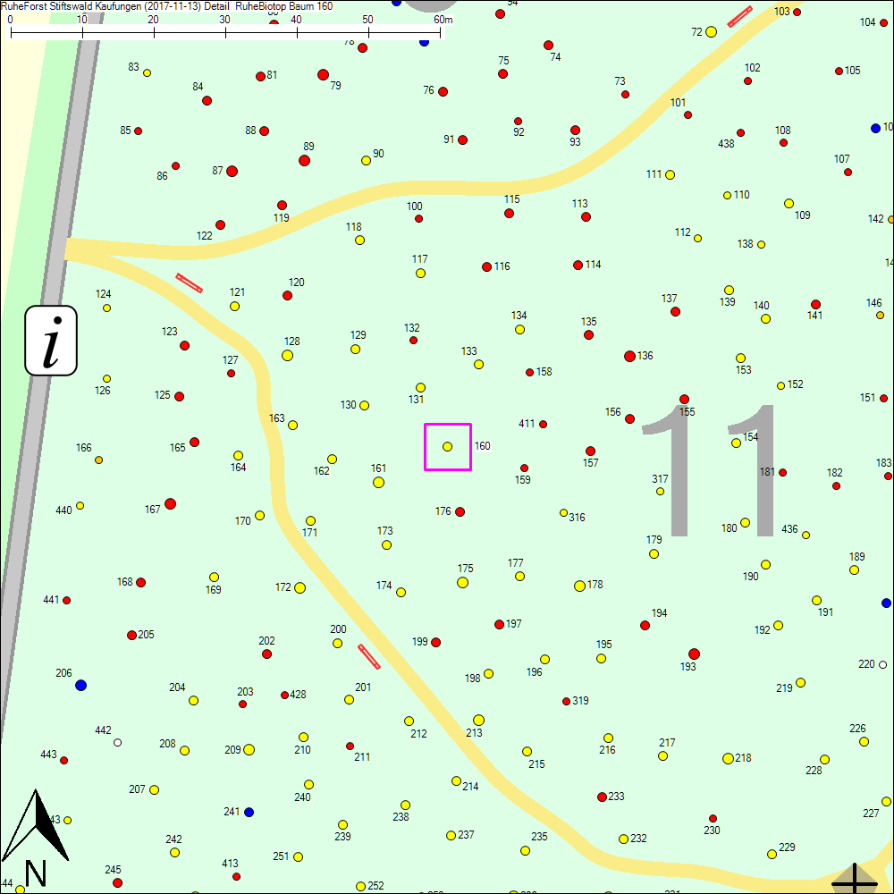 Detailkarte zu Baum 160