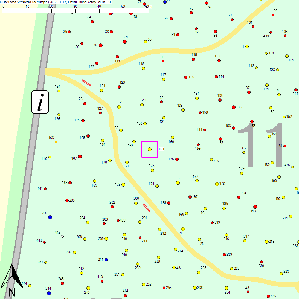 Detailkarte zu Baum 161