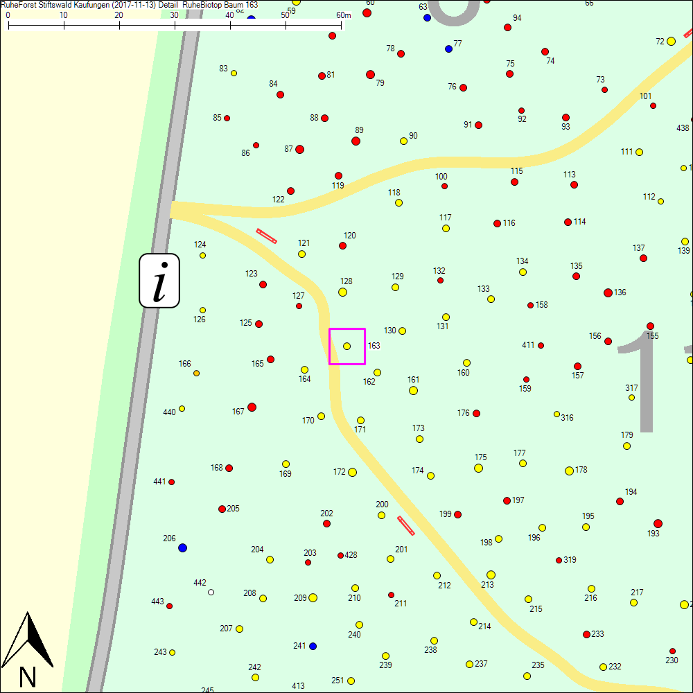 Detailkarte zu Baum 163