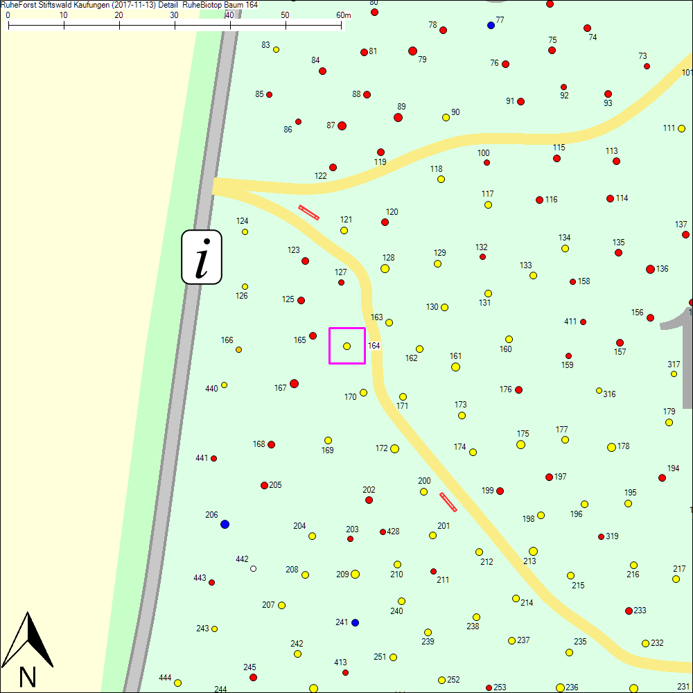 Detailkarte zu Baum 164