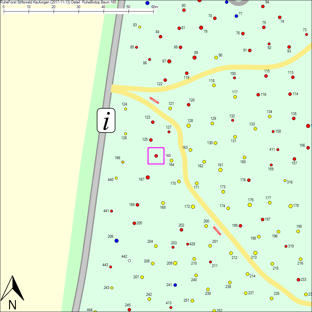 Detailkarte zu Baum 165