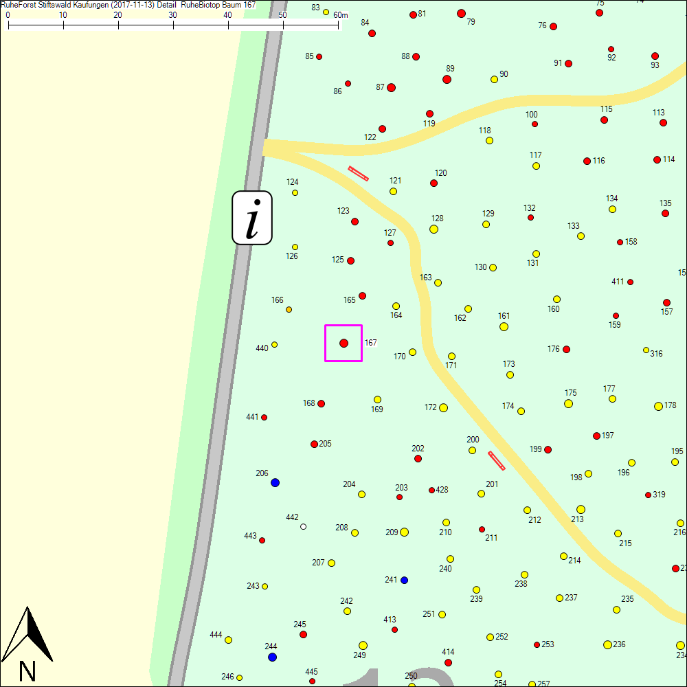 Detailkarte zu Baum 167