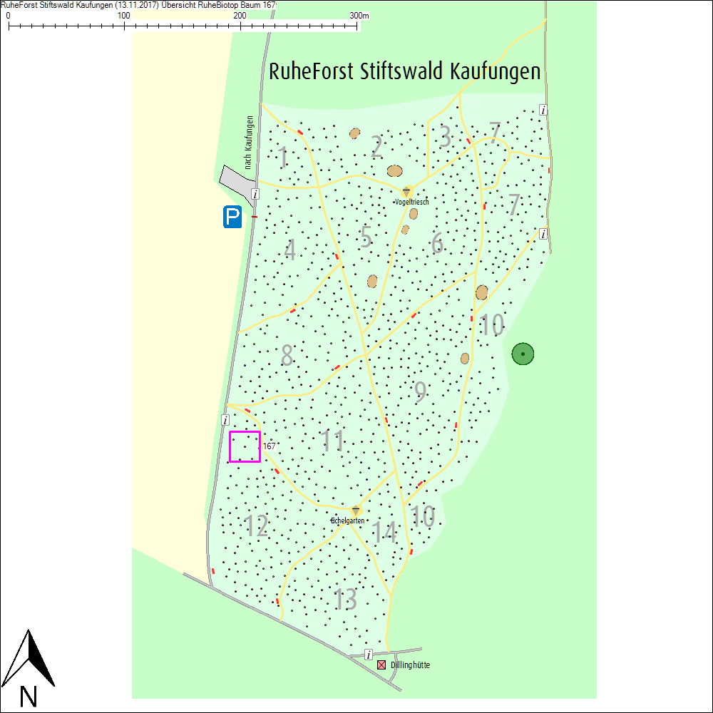 &Uuml;bersichtskarte zu Baum 167