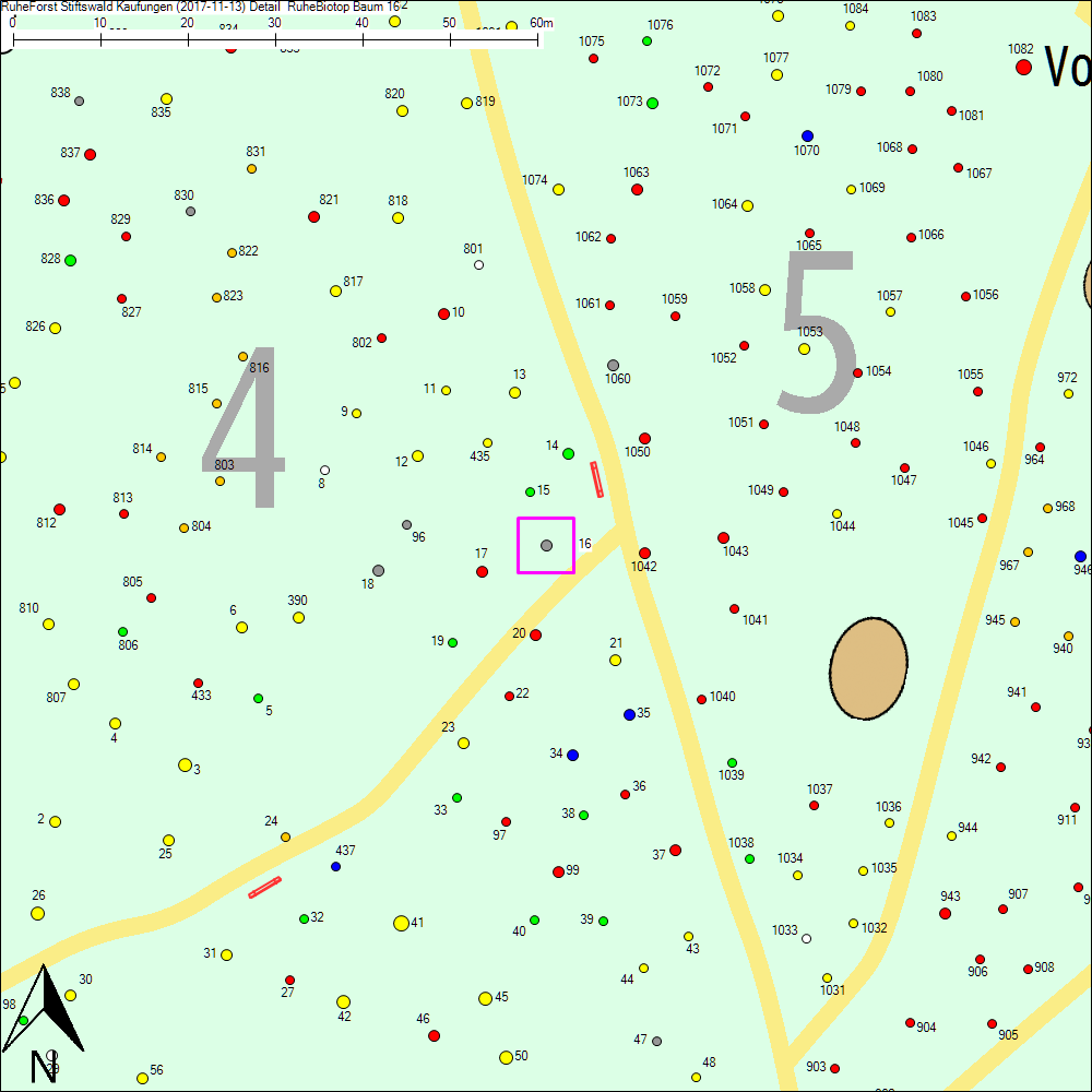 Detailkarte zu Baum 16