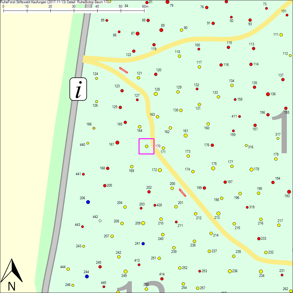 Detailkarte zu Baum 170