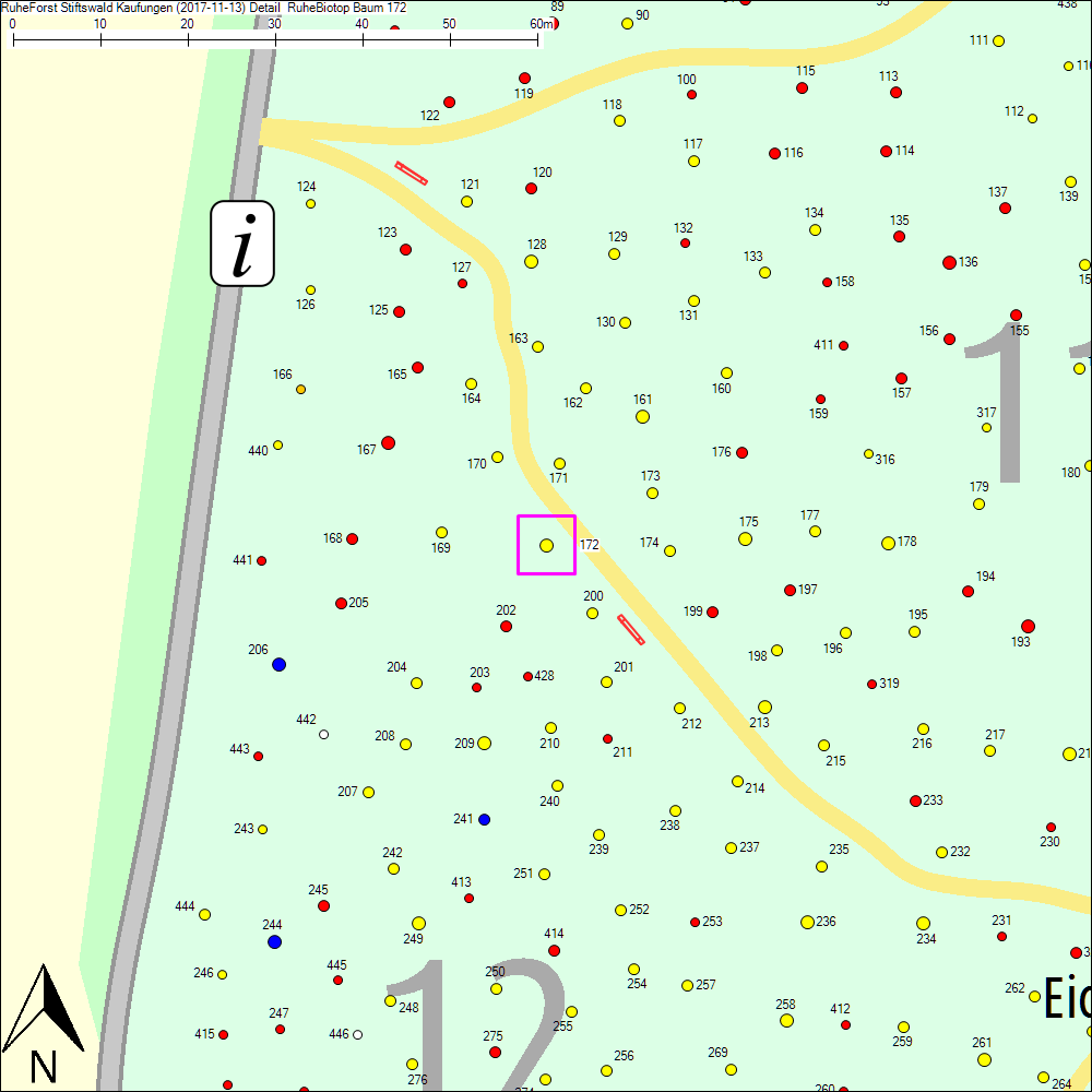 Detailkarte zu Baum 172