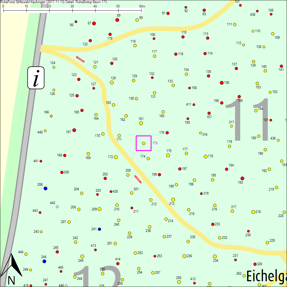 Detailkarte zu Baum 173