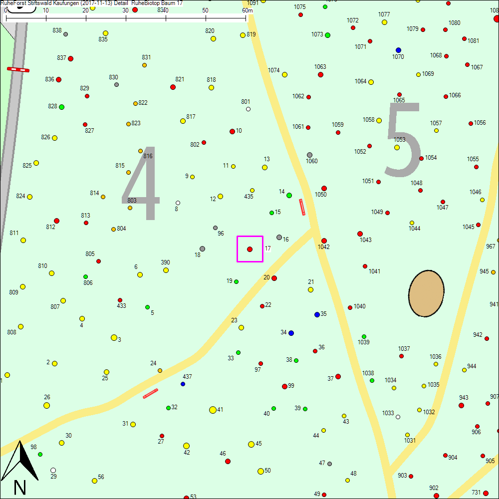Detailkarte zu Baum 17