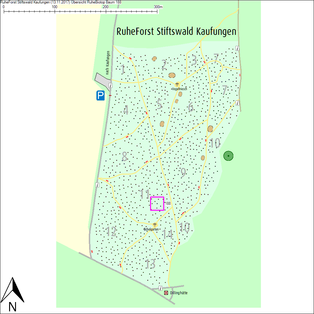 &Uuml;bersichtskarte zu Baum 188