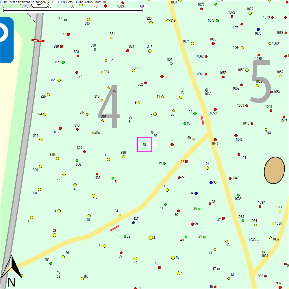 Detailkarte zu Baum 18