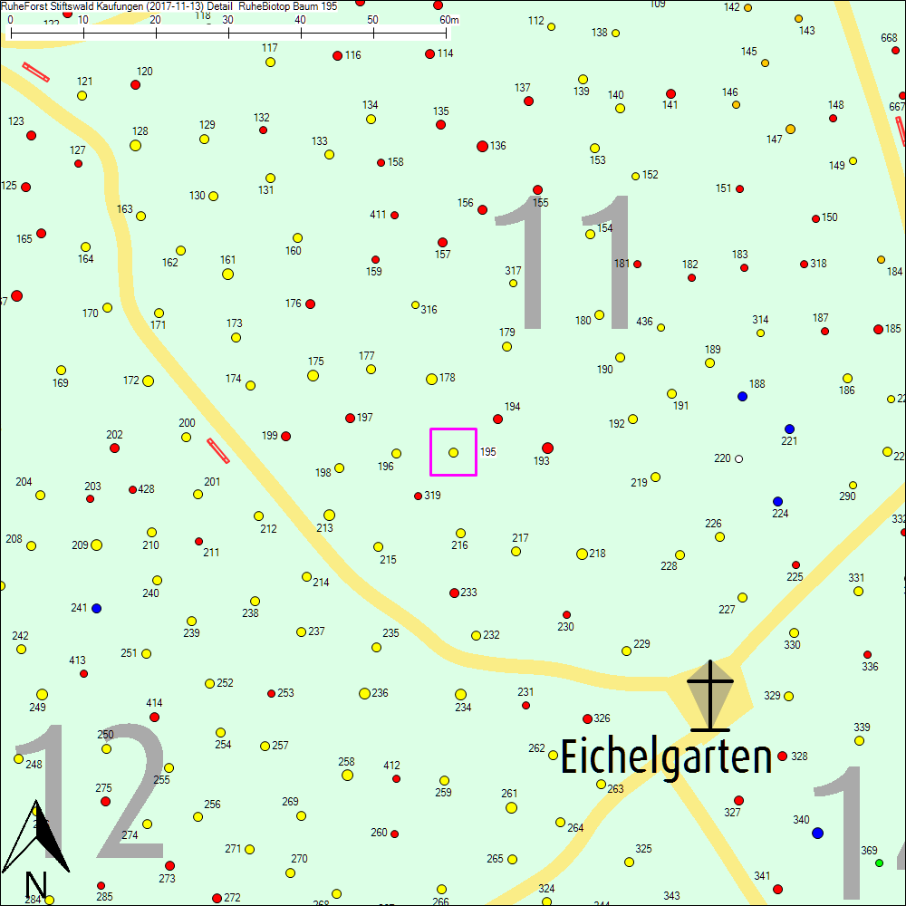 Detailkarte zu Baum 195