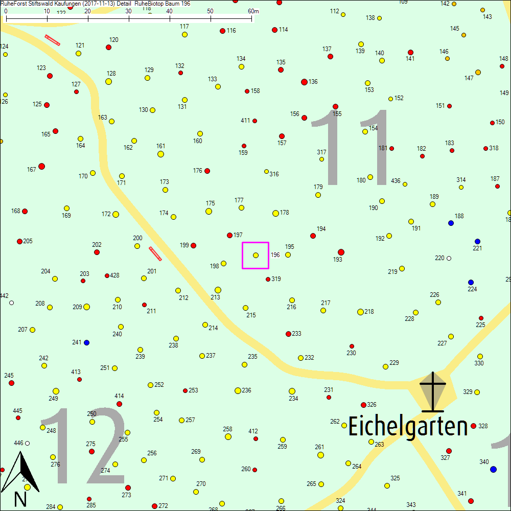 Detailkarte zu Baum 196