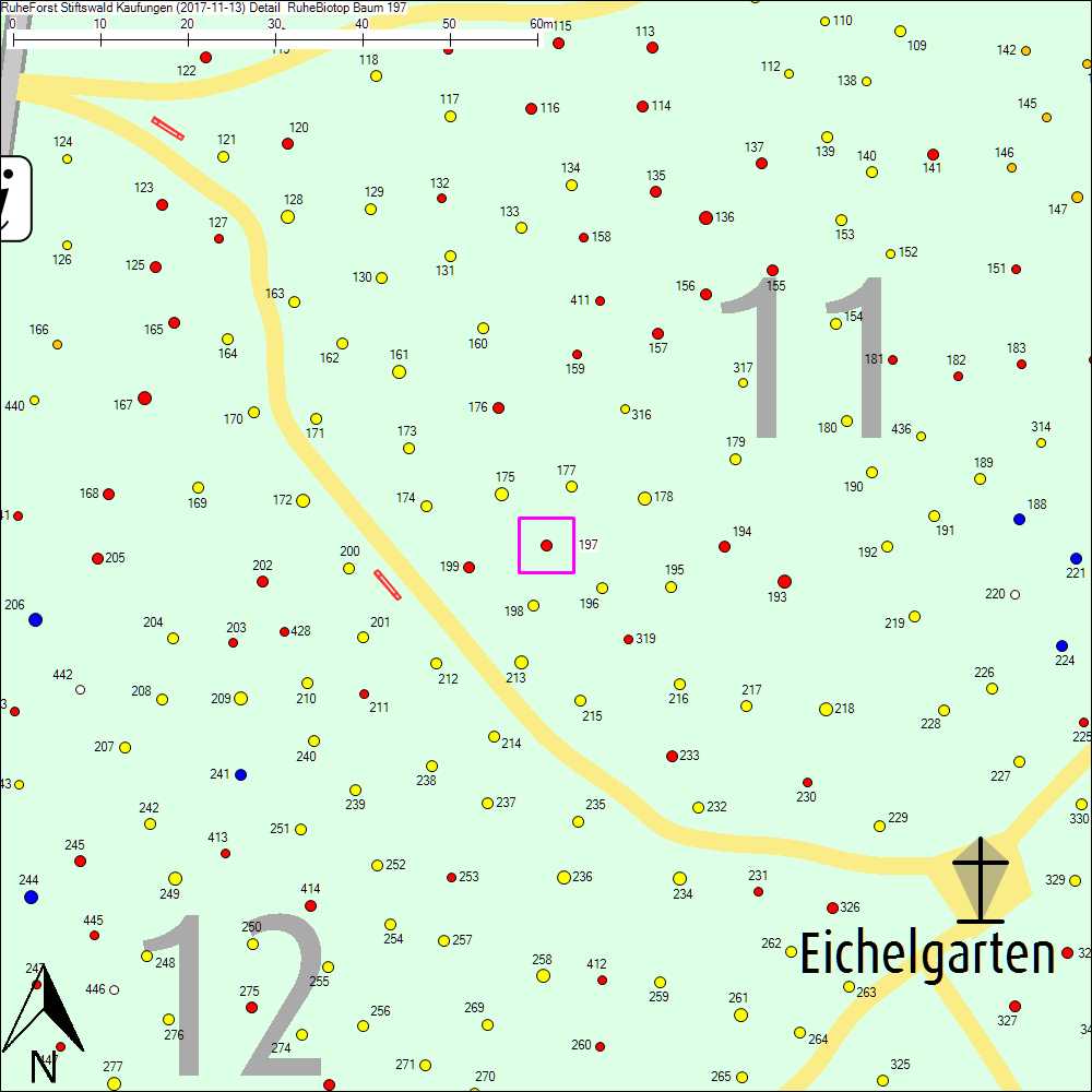 Detailkarte zu Baum 197