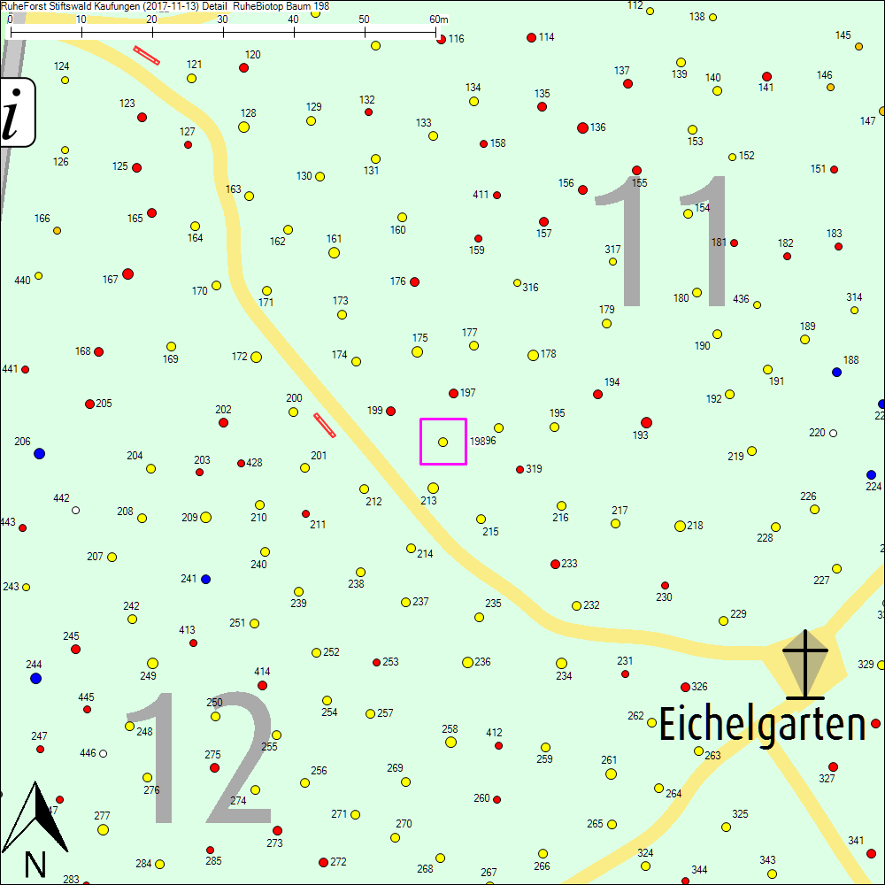 Detailkarte zu Baum 198