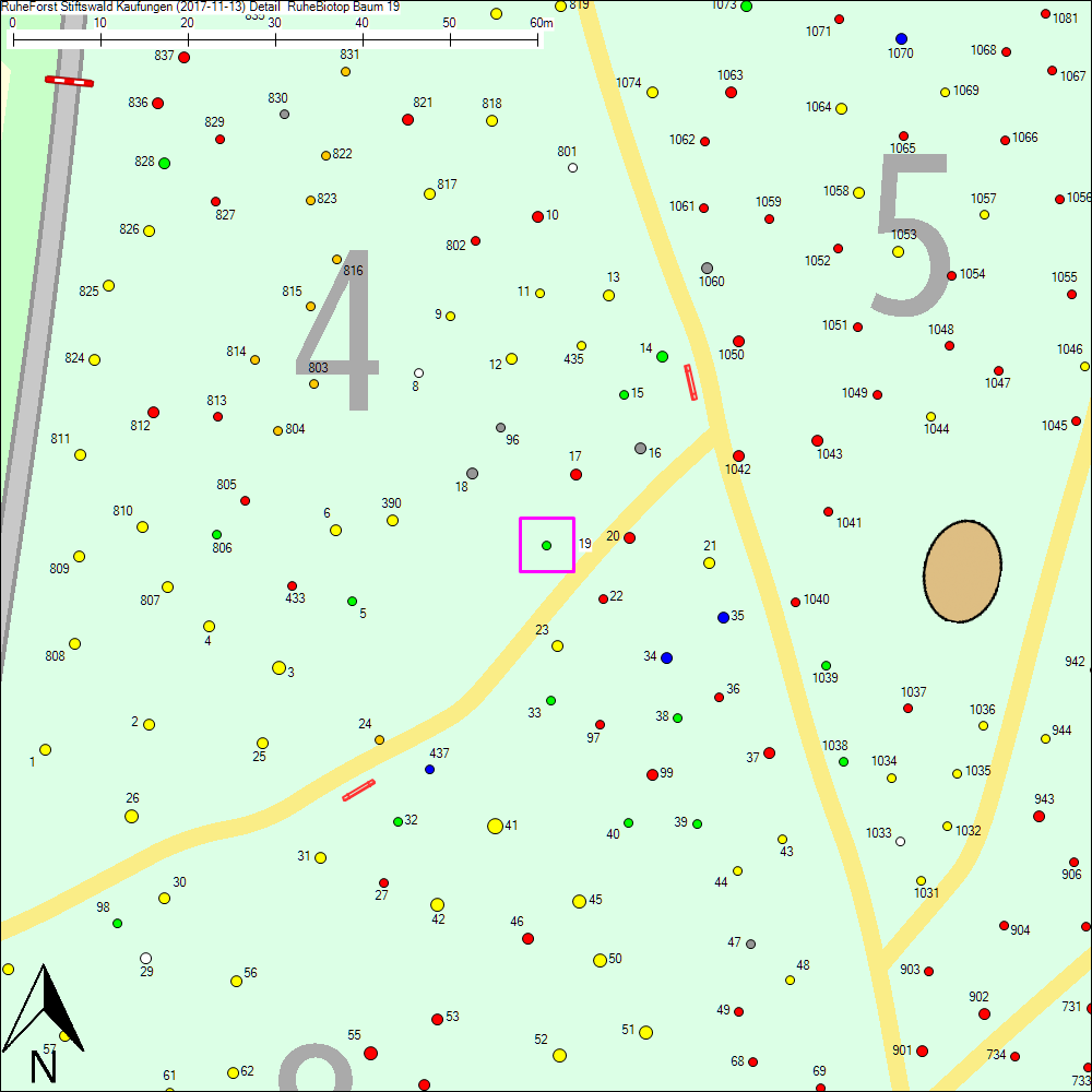 Detailkarte zu Baum 19