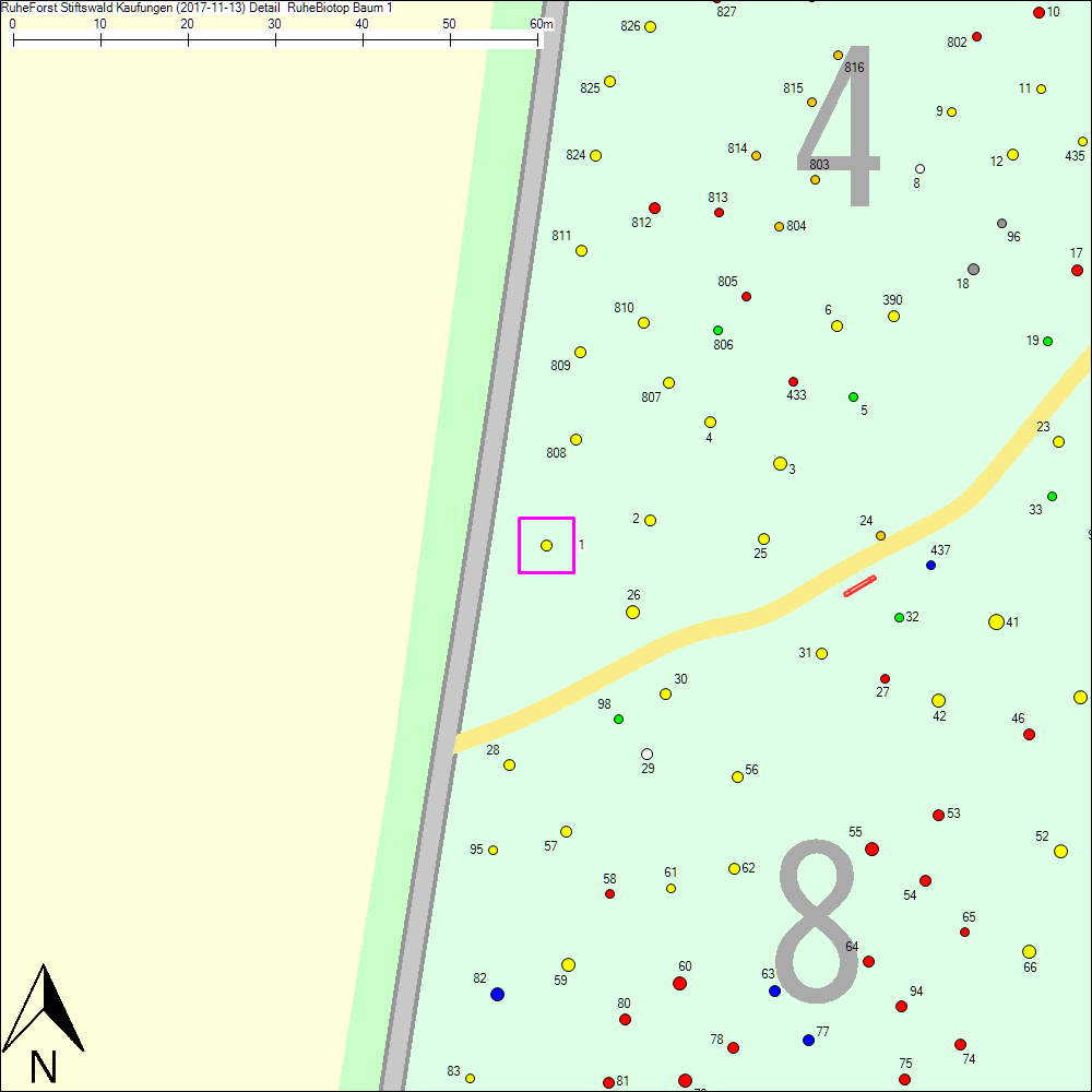 Detailkarte zu Baum 1