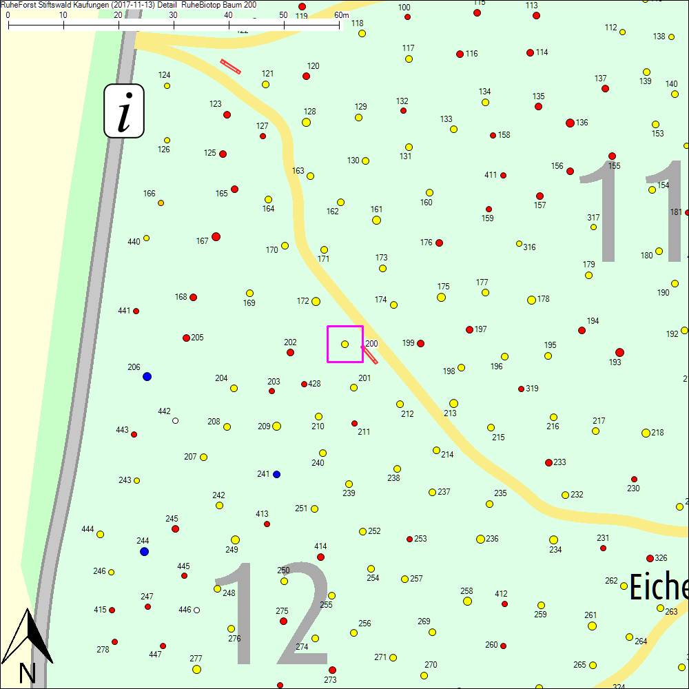 Detailkarte zu Baum 200
