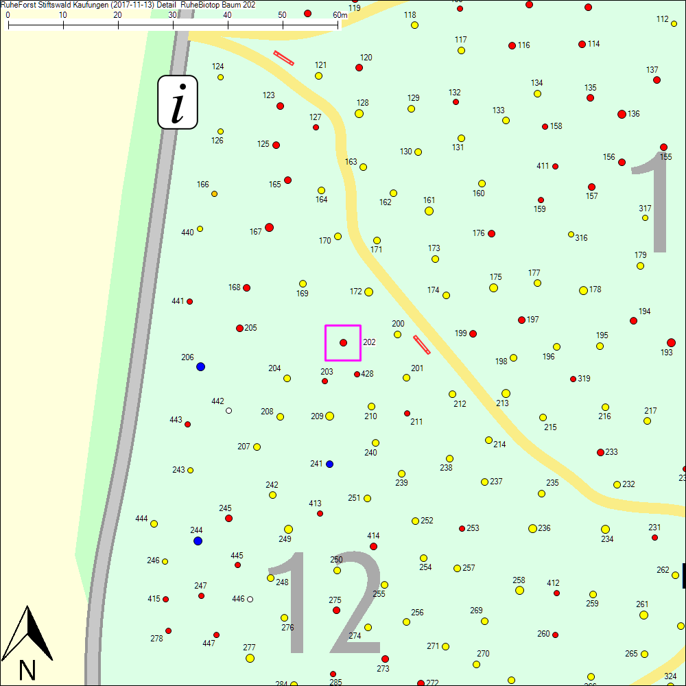 Detailkarte zu Baum 202